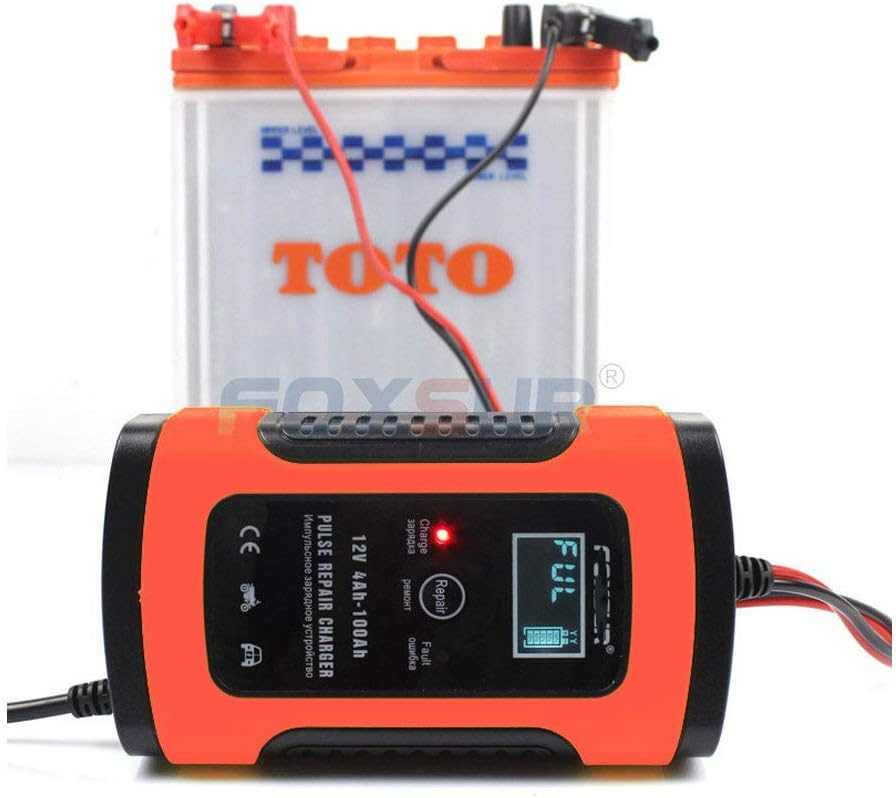 Cargador Bateria Coche Buddygo 12V 4-100Ah