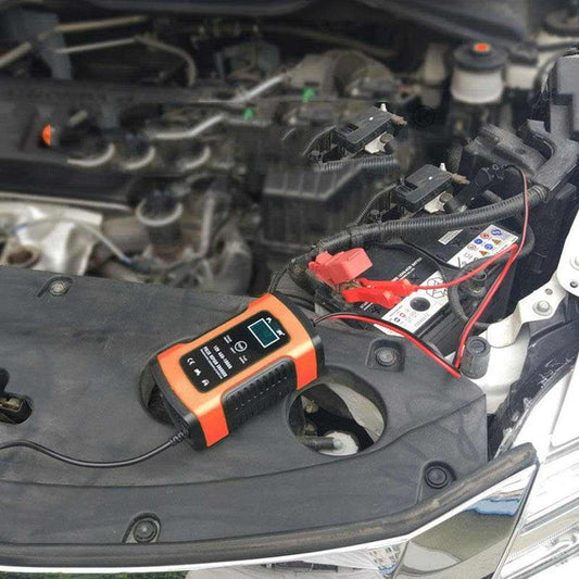 Cargador Bateria Coche Buddygo 12V 4-100Ah